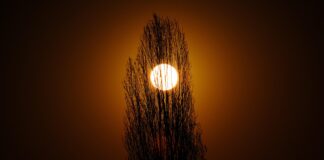 Eclipsa totală de Lună şi Luna sângerie