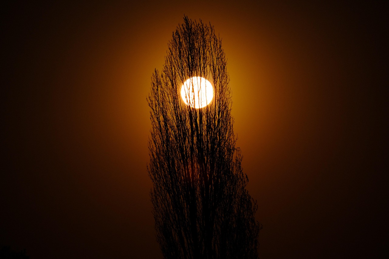 Eclipsa totală de Lună şi Luna sângerie