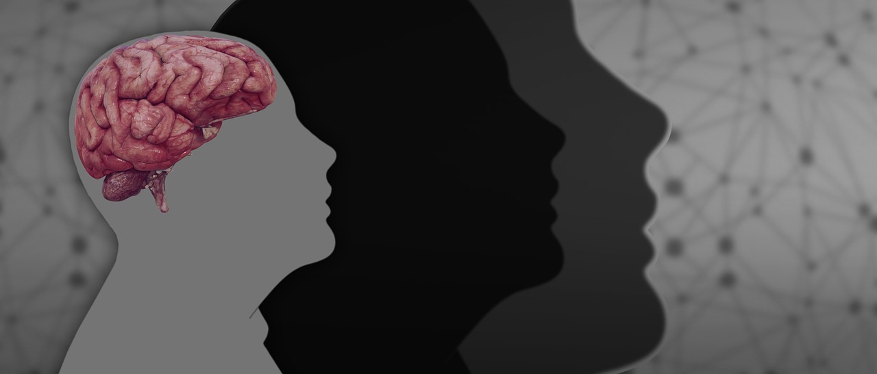 Principiul Pollyanna