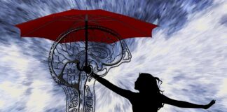 Principiul Pollyanna