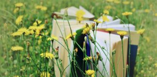 Lecturi de vară, pe tema verii – o provocatoare “călătorie” estivală Lecturi de vară, pe tema verii