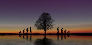 Memetica – noua “alfabetizare culturală”? Cât de mult ne influenţează meme-urile personalitatea? Memetica, noua alfabetizare culturala?