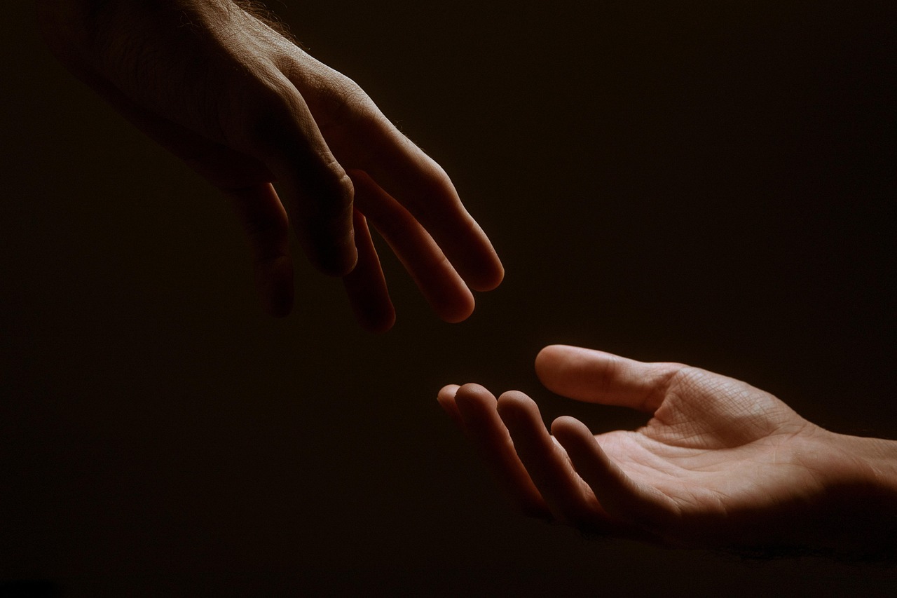 Primum non nocere