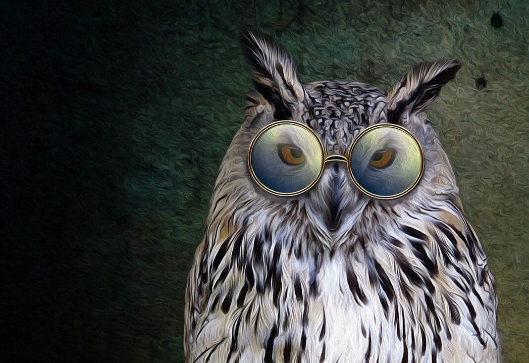 Quidquid agis prudenter agas