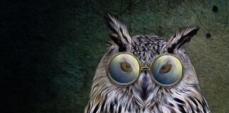 Quidquid agis prudenter agas… – sensul şi originea expresiei Quidquid agis prudenter agas