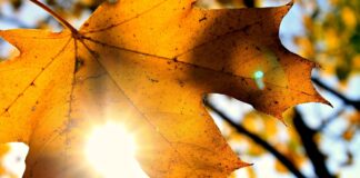 Echinocţiul de toamnă