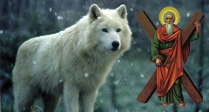 Sarbatoarea Sfantului Andrei si Marele Lup Alb, Sursa Ziarul Unirea