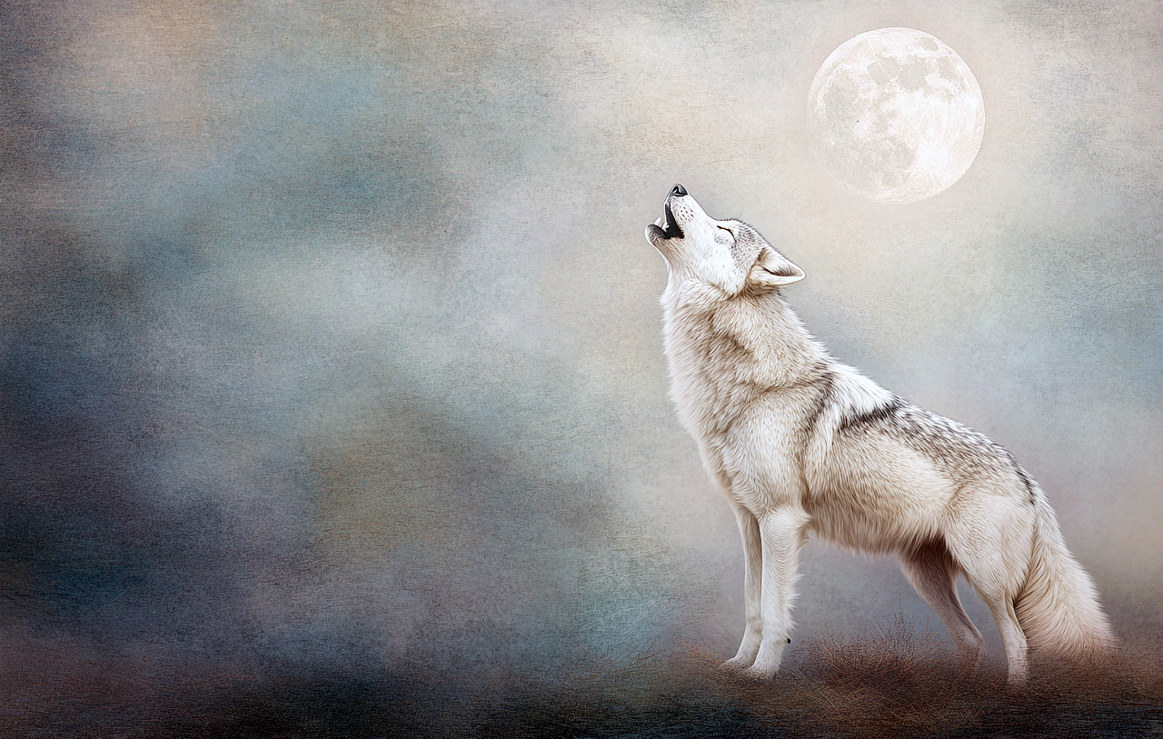 Luna plina a Lupului