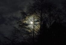 Ianuarie 2026, Luna plina