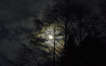 Ianuarie 2026, Luna plina