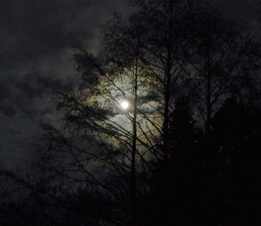 Ianuarie 2026, Luna plina