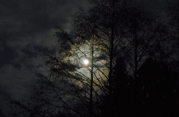 Ianuarie 2026, Luna plina