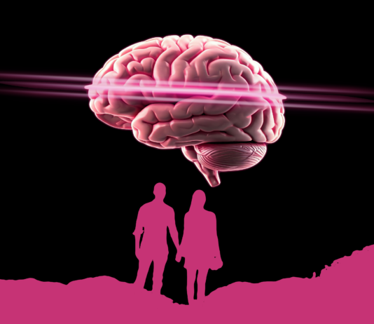 Zona de incertitudine din creier