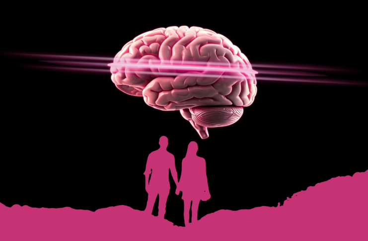 Zona de incertitudine din creier