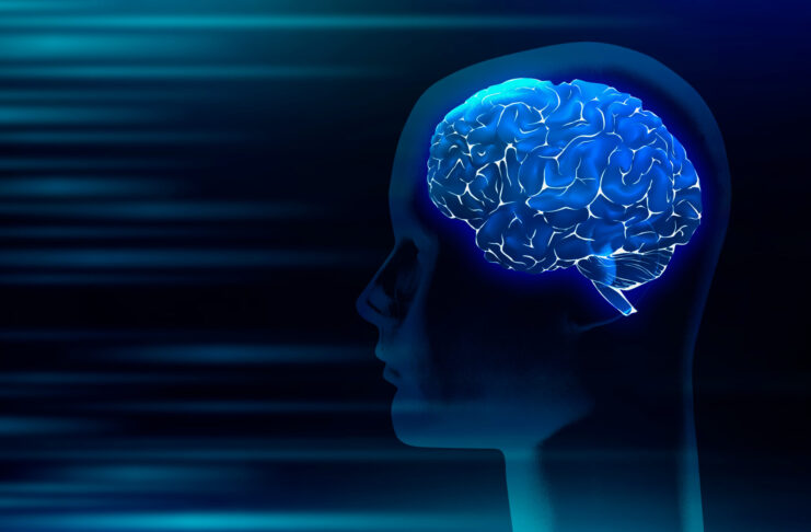 Gândurile, creierul, emoţiile