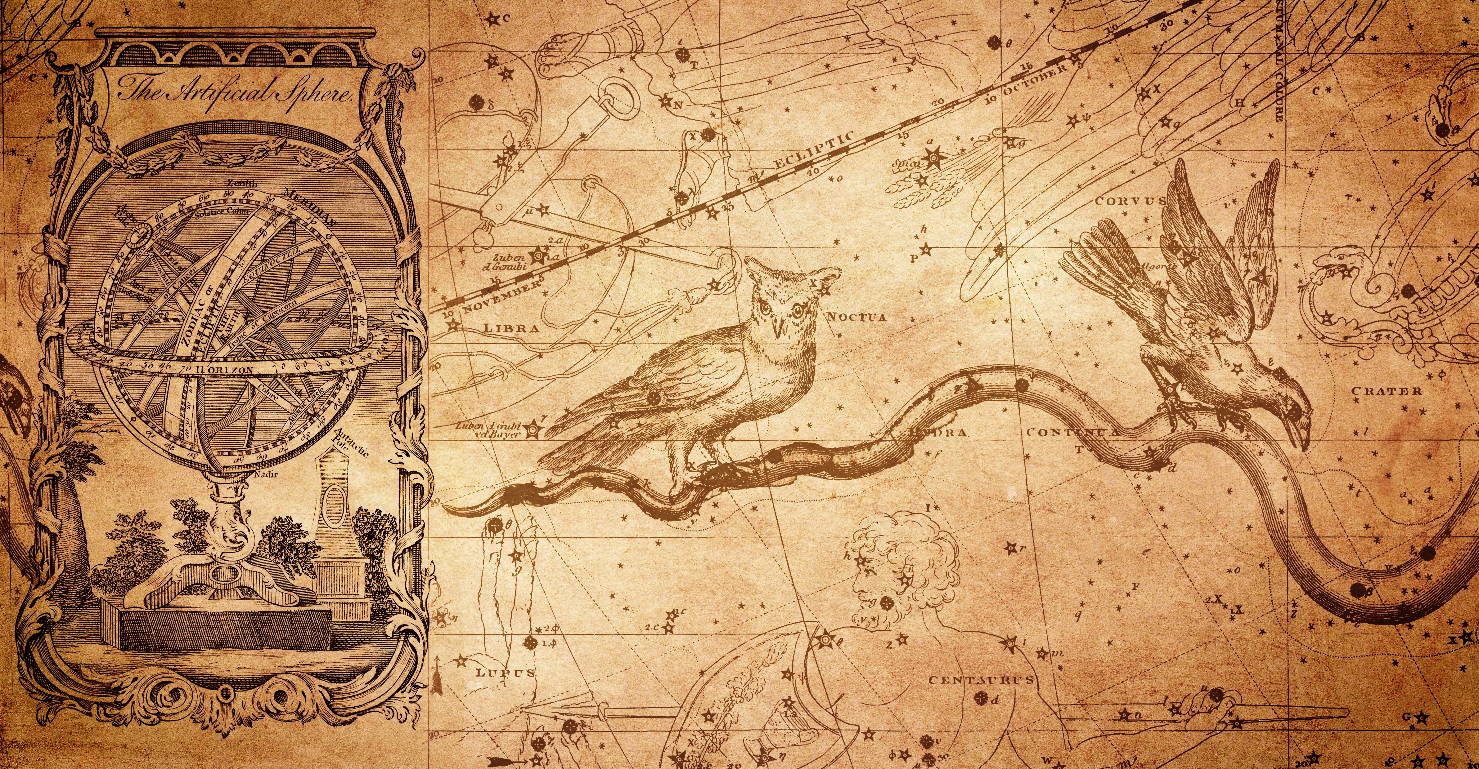 Constelațiile zodiacale