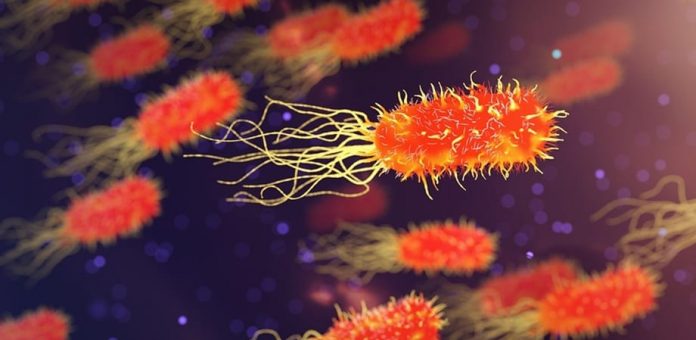 Microbiomul intestinal