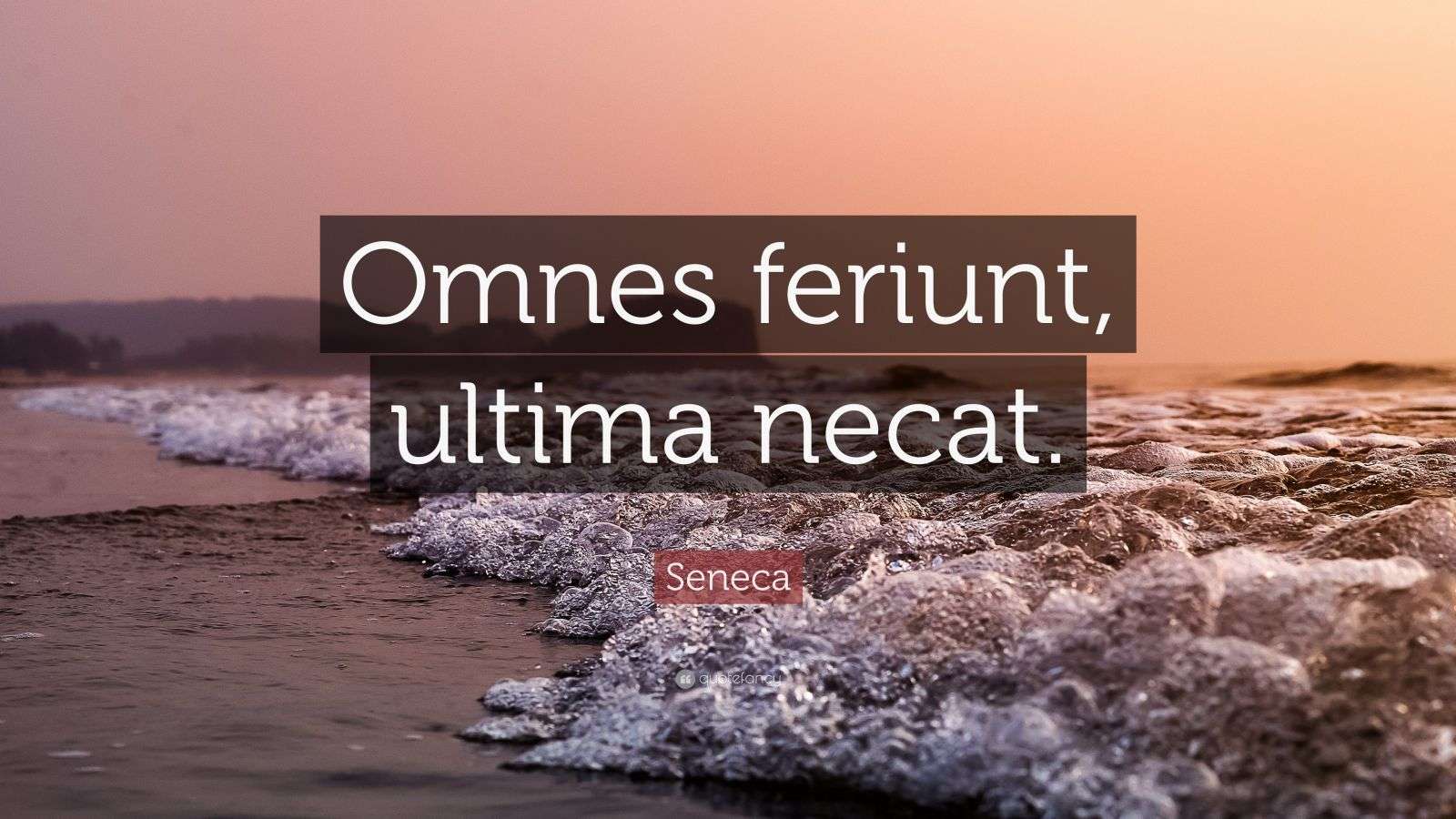 Seneca, Sursa QuotesFancy