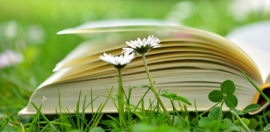 Top 5 cărţi nonficţionale – lecturi captivante pentru minte, suflet și viața de zi cu zi Top 5 cărţi nonficţionale