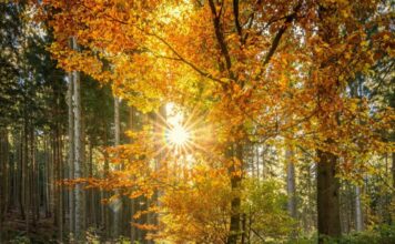 Echinocţiul de toamnă 2026 – misterul și magia momentului când lumina și întunericul se întâlnesc Echinocţiul de toamnă