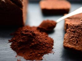 Cacao – povestea fascinantă a „hranei zeilor”. De la jungla amazoniană, la ciocolata din zilele noastre Cacao