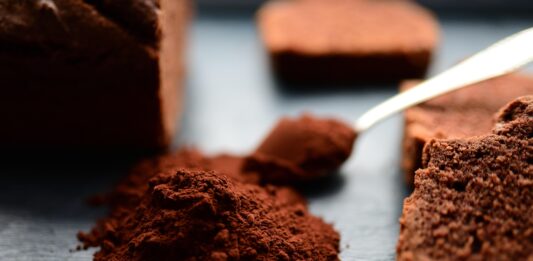 Cacao – povestea fascinantă a „hranei zeilor”. De la jungla amazoniană, la ciocolata din zilele noastre Cacao